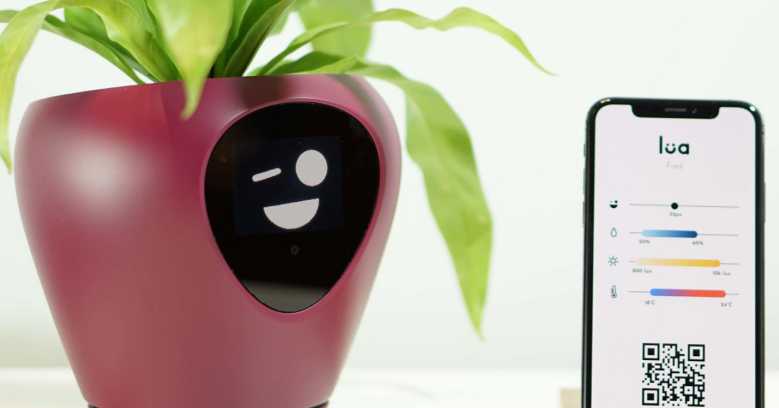 Lua : un petit pot qui transforme vos plantes en Tamagotchi