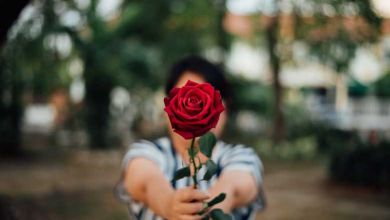 Voilà pourquoi il ne faut jamais offrir des roses a la Saint Valentin