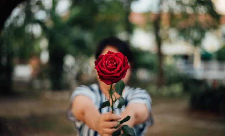 Voilà pourquoi il ne faut jamais offrir des roses a la Saint Valentin