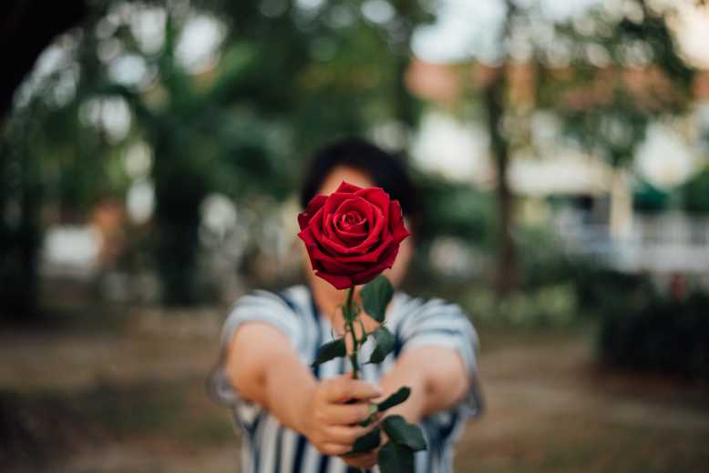 Voilà pourquoi il ne faut jamais offrir des roses a la Saint Valentin