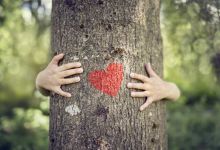 D'après ces scientifiques, les arbres émettraient des "battements de cœur"...