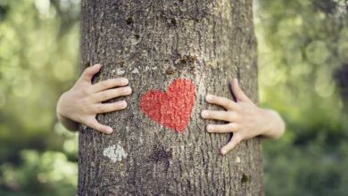 D'après ces scientifiques, les arbres émettraient des "battements de cœur"...