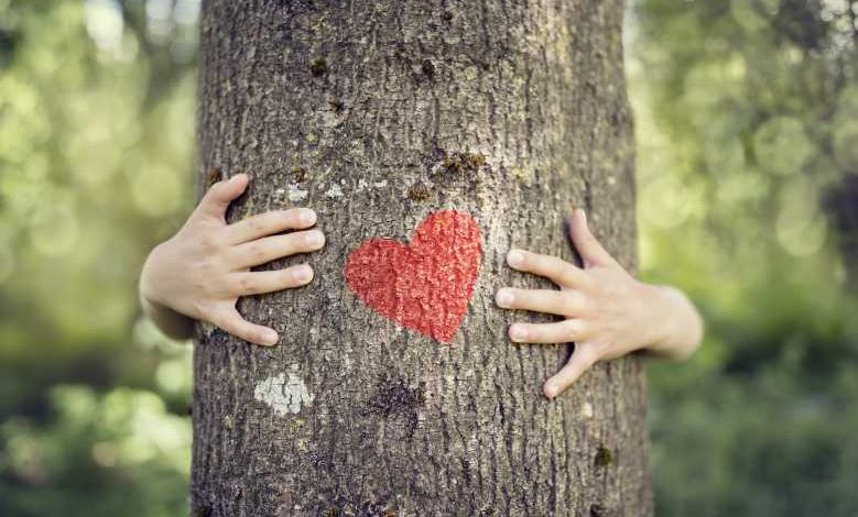 D'après ces scientifiques, les arbres émettraient des "battements de cœur"...