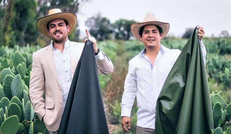 Une société Mexicaine fabrique du cuir vegan avec des feuilles de cactus