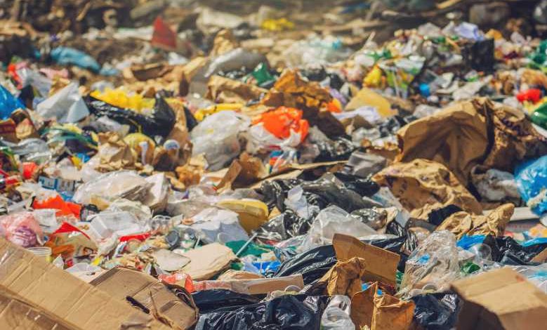 Pollution plastique : une société a trouvé comment transformer les déchets alimentaires en bioplastique