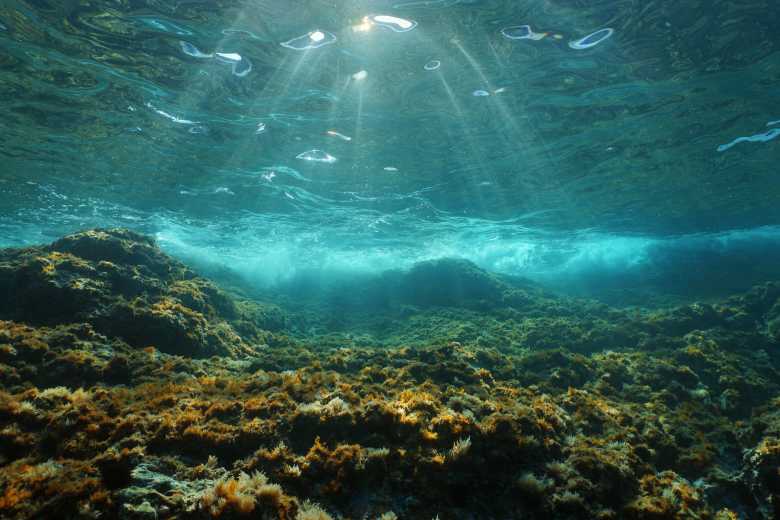 A cause des avalanches sous-marines, les microplastiques envahissent les fonds marins