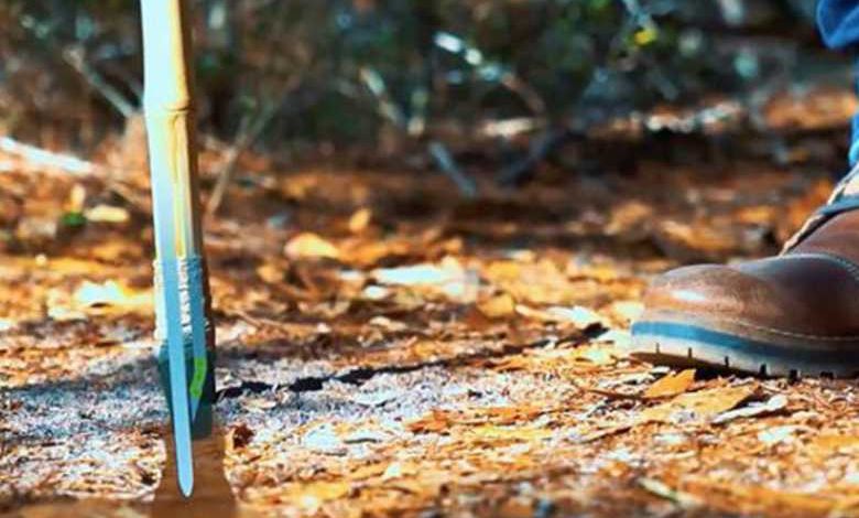 Fytostick : le bâton de marche qui plante des graines ne verra jamais vu le jour, pourtant l'idée était bonne...