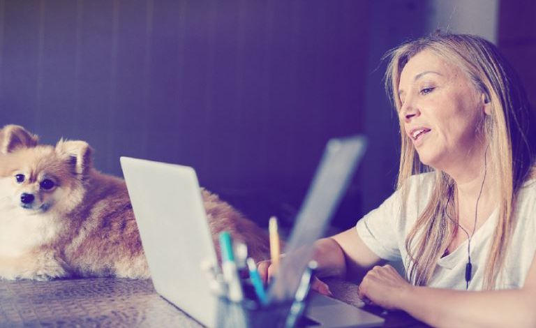 Comment bien protéger son ordinateur pour le télétravail avec Bitdefender #Partenaire