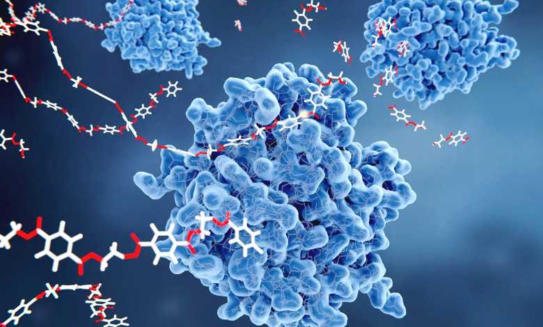 Incroyable ! Ces enzymes mutantes sont capables de décomposer rapidement les bouteilles en plastique !