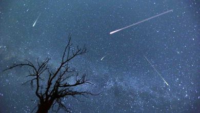 Etoiles filantes : cette nuit il faudra avoir la tête dans les étoiles !