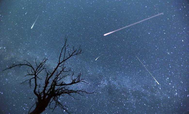 Etoiles filantes : cette nuit il faudra avoir la tête dans les étoiles !