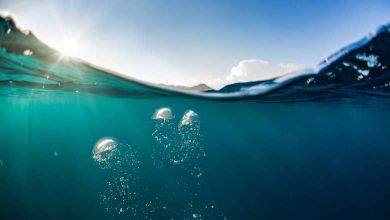 On sait peut-être enfin comment le niveau de la mer est monté de 12 mètres il y a plus de 14 000 ans