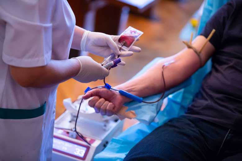 Sang séché ou en poudre : une nouvelle technique de lyophilisation pour conserver les dons de sang plus longtemps