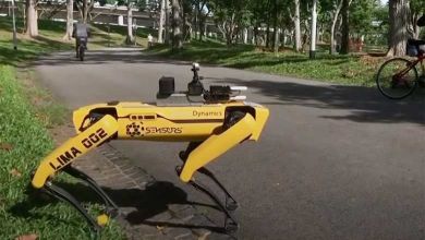 Singapour : un chien robot baptisé Spot parcourt le parc pour faire respecter les distanciations sociales