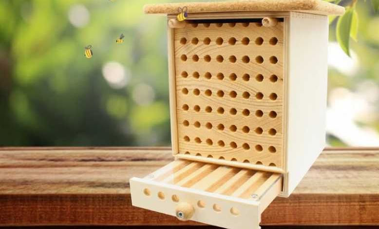 Devenez un Dorloteur d'Abeilles avec une maisonnette à abeilles sauvages