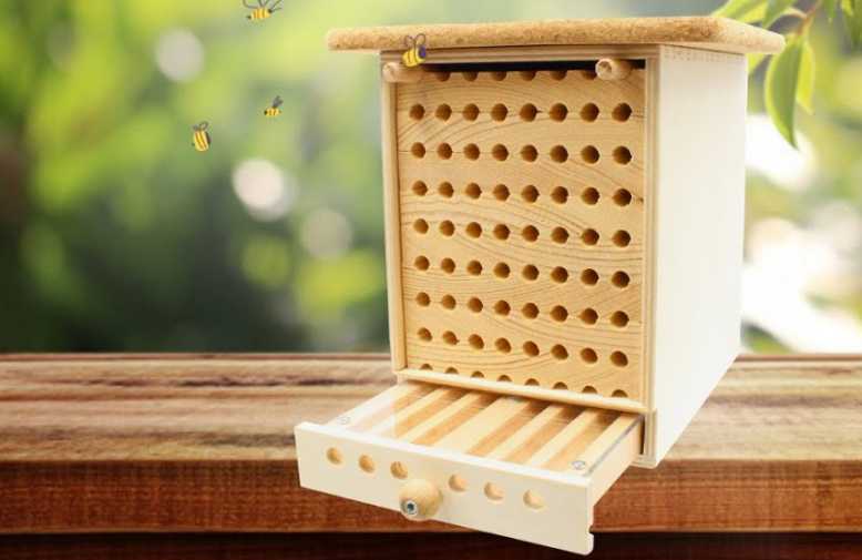 Devenez un Dorloteur d'Abeilles avec une maisonnette à abeilles sauvages