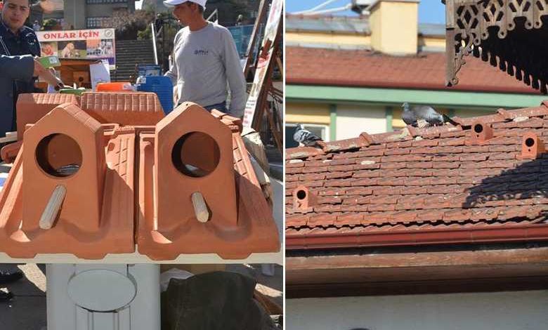 Une entreprise Turque fabrique des "tuiles-nids" pour étudier et protéger les oiseaux des villes