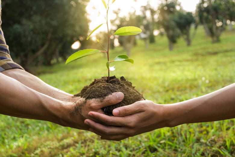 Pakistan : le pays va planter 10 milliards d’arbres en embauchant ceux qui ont perdu leur emploi pendant la pandémie