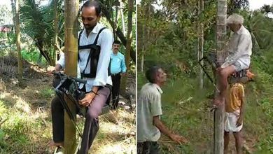 Inde : face à la pénurie de main d'oeuvre, il invente un scooter pour grimper aux cocotiers