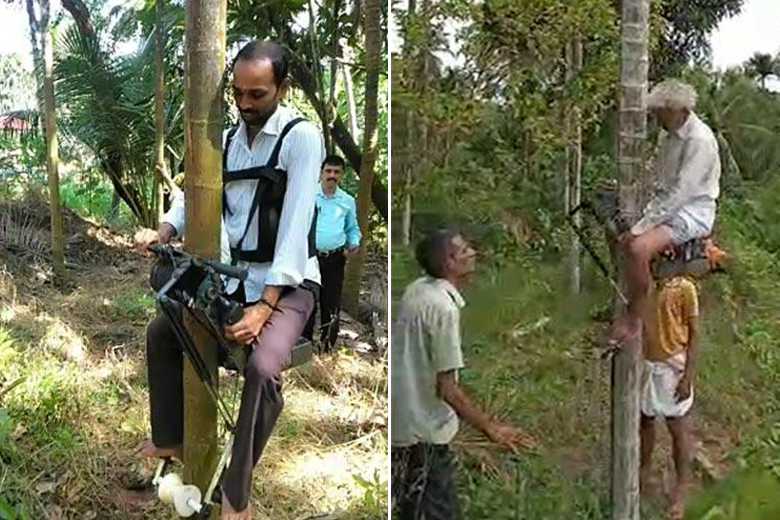 Inde : face à la pénurie de main d'oeuvre, il invente un scooter pour grimper aux cocotiers