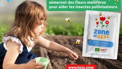 Crowdfunding : Créons des "ZONES DE BZZZ" et laissons revenir les abeilles !