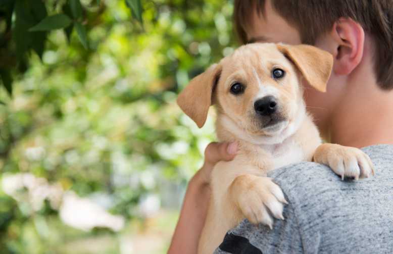 Animaux : En plus de nous aimer inconditionnellement, ils nous aideraient à avoir une meilleure santé