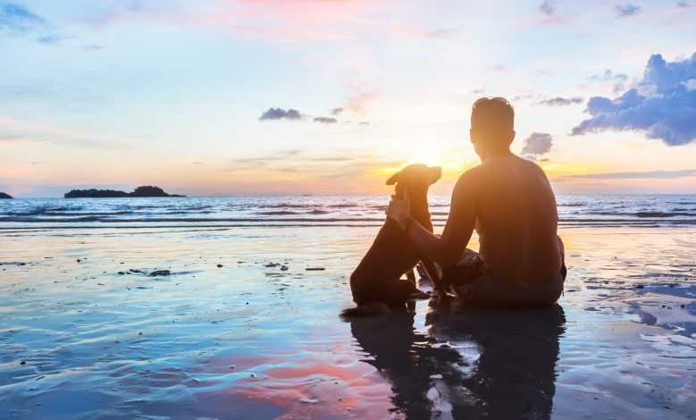 "Nos Vacances Entre Amis", la plateforme qui recense tous les lieux qui acceptent les animaux en vacances !