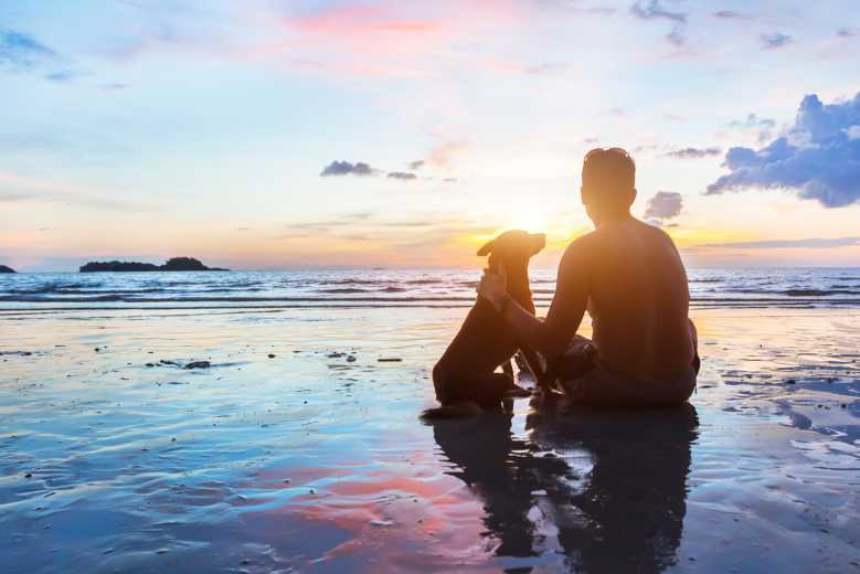 "Nos Vacances Entre Amis", la plateforme qui recense tous les lieux qui acceptent les animaux en vacances !