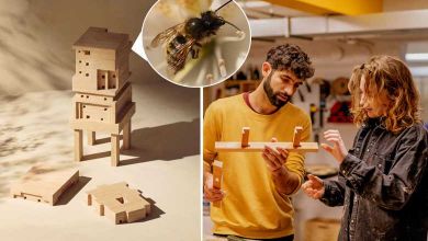 BEE HOME : IKEA met en ligne un fichier Open Source pour construire des abris pour les abeilles !