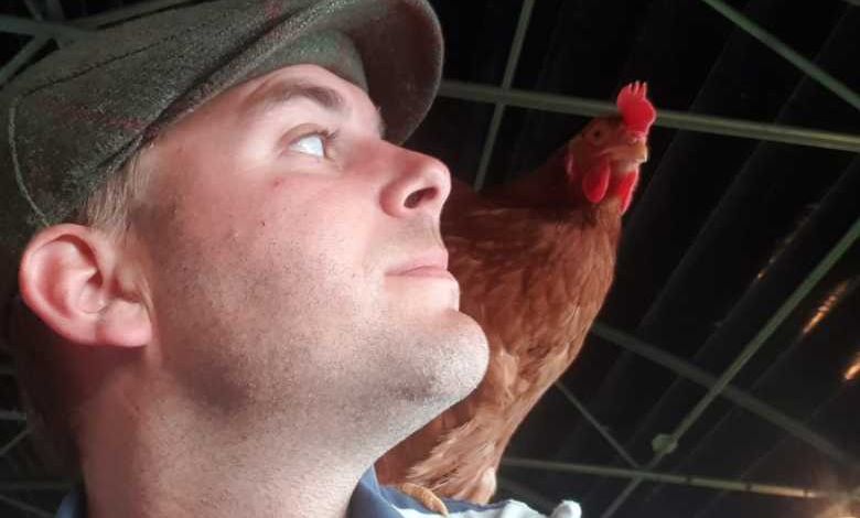 Un agriculteur normand sauve chaque année 2800 poules de l'abattoir en les vendant à des particuliers