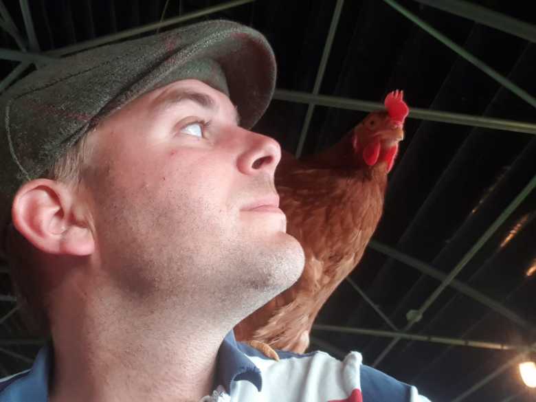 Un agriculteur normand sauve chaque année 2800 poules de l'abattoir en les vendant à des particuliers