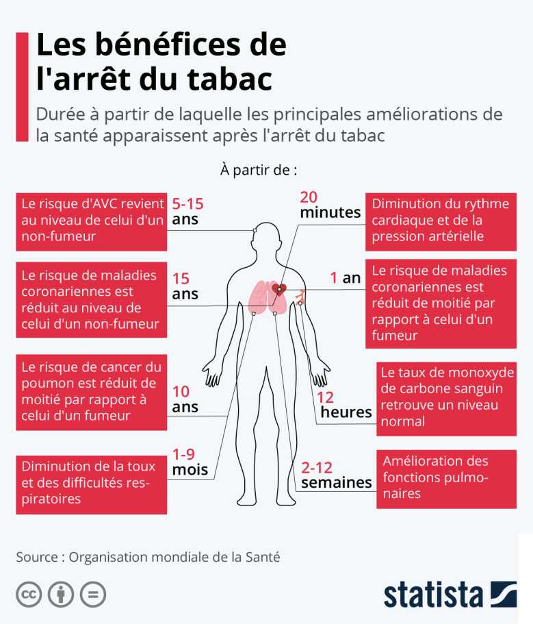 Les Premiers Benefices De L Arret Du Tabac Apparaissent Au Bout De Minutes Les Derniers Entre 10 Et 15 Ans Neozone