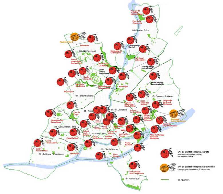 Face à la crise économique, la ville de Nantes devient un potager géant