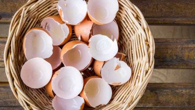 Zéro Déchet : Recyclez vos coquilles d'oeufs, elles ont des vertus insoupçonnées !