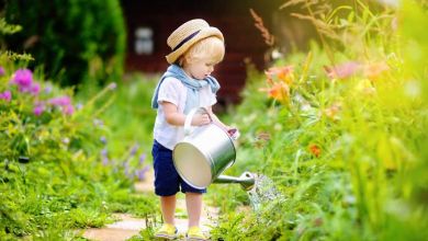 Comment économiser l'eau dans son jardin ? Bon pour le portefeuille et bon pour la planète !