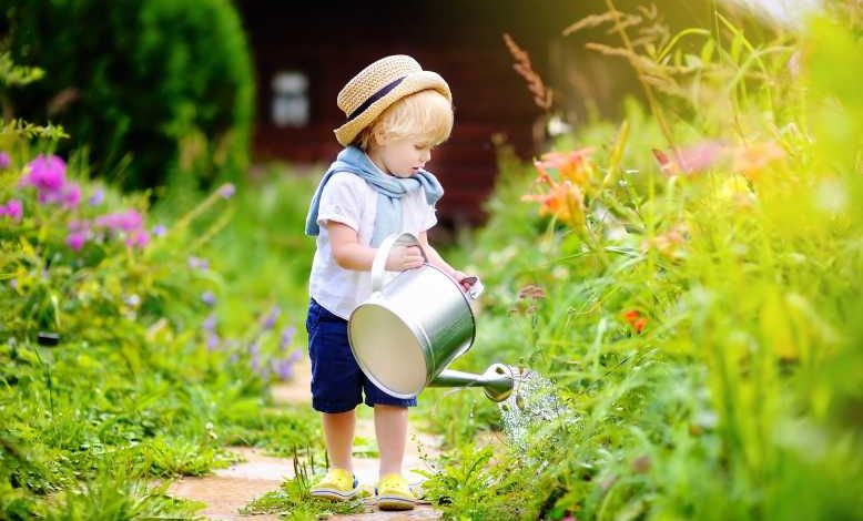 Comment économiser l'eau dans son jardin ? Bon pour le portefeuille et bon pour la planète !