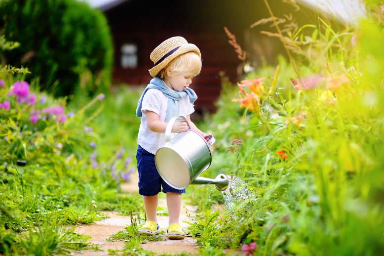 Comment économiser l'eau dans son jardin ? Bon pour le portefeuille et bon pour la planète !