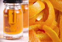 Une entreprise japonaise prétend produire du CBD à base d'écorce d'oranges !