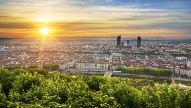 Lyon : 6000 arbres vont être plantés pour créer une forêt de 1000 m² en pleine ville