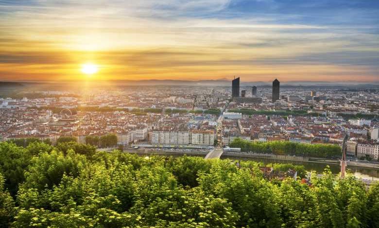 Lyon : 6000 arbres vont être plantés pour créer une forêt de 1000 m² en pleine ville