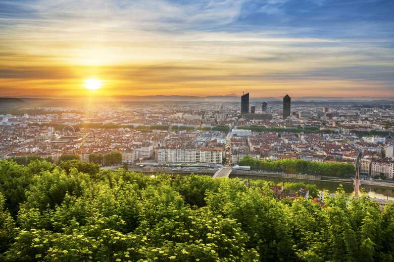 Lyon : 6000 arbres vont être plantés pour créer une forêt de 1000 m² en pleine ville