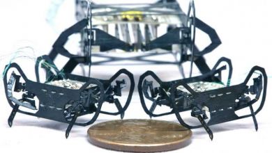 Harvard présente HAMR-JR, un puissant robot-insecte de la taille d’une pièce de monnaie