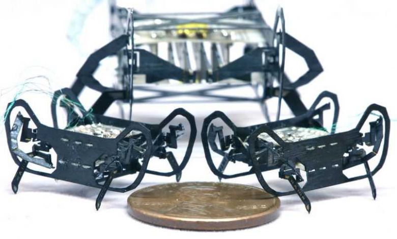 Harvard présente HAMR-JR, un puissant robot-insecte de la taille d’une pièce de monnaie