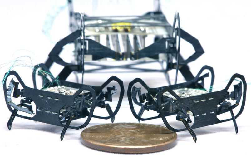 Harvard présente HAMR-JR, un puissant robot-insecte de la taille d’une pièce de monnaie
