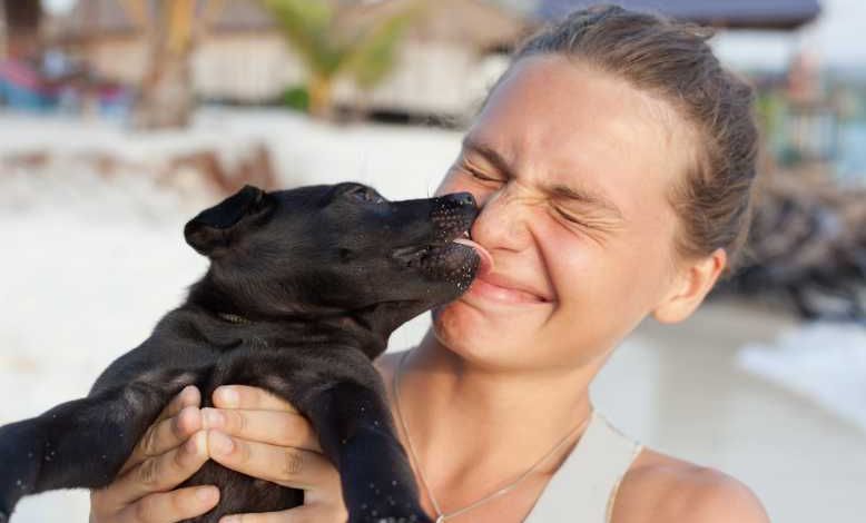 Pabete.com, une plateforme collaborative pour faire garder son animal ! Ne l'abandonnez pas !