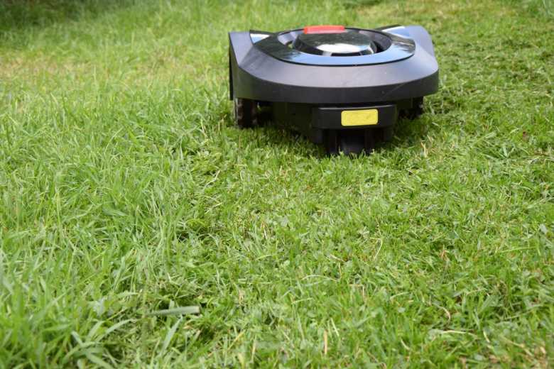 Irrigreen : l'invention d'un système d'arrosage automatique piloté