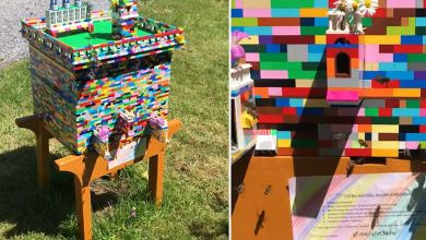 Un apiculteur irlandais construit une étonnante ruche en LEGO, adoptée par plus de 30 000 abeilles