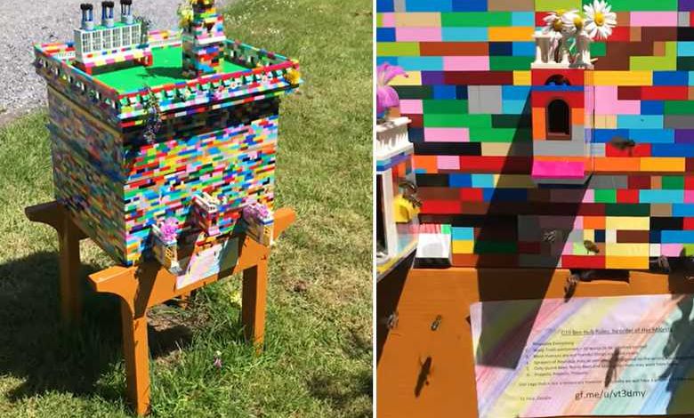 Un apiculteur irlandais construit une étonnante ruche en LEGO, adoptée par plus de 30 000 abeilles