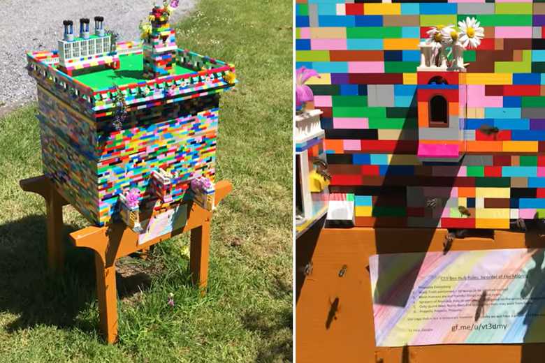 Un apiculteur irlandais construit une étonnante ruche en LEGO, adoptée par plus de 30 000 abeilles