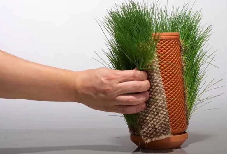 Ce pot hydroponique et sans terre vient de lever plus de 3 millions de dollars sur Kickstarter